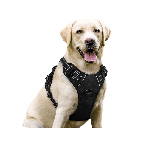 Rabbitgoo Dog Harness